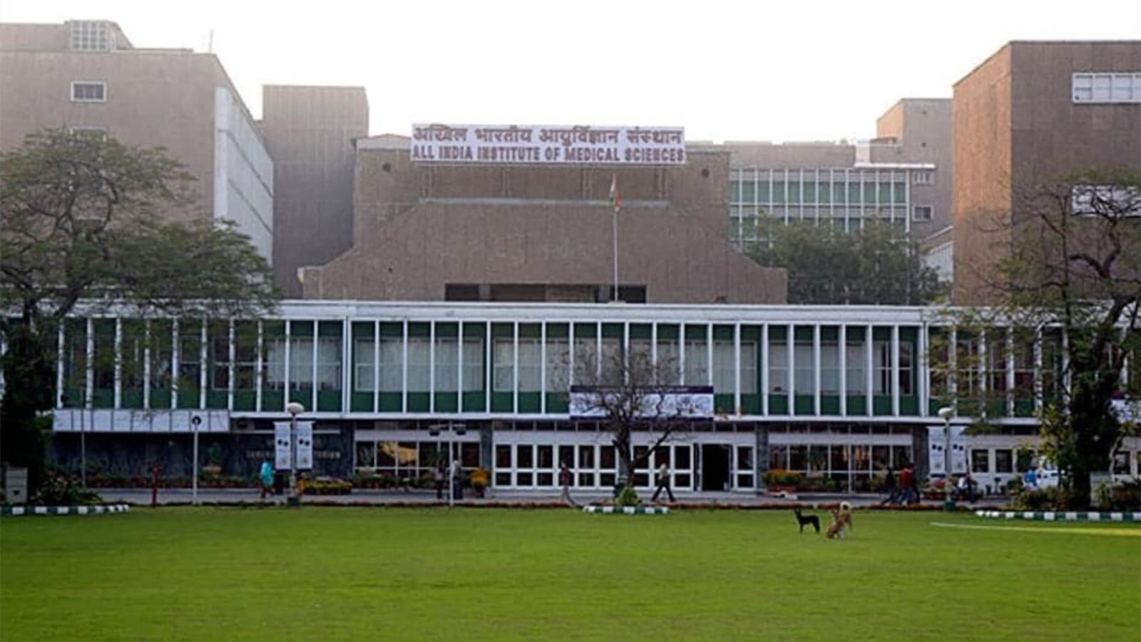 aiims delhi